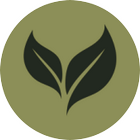 Leaf Icon